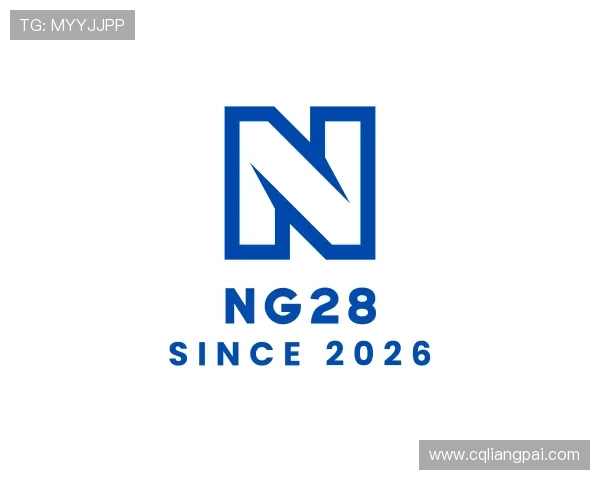 解读NG28